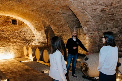 Thumbnail Cata de vinos de Monferrato en la Bodega Serra Domenico de Agliano Terme