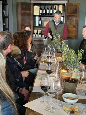 Thumbnail Esperienza di cantina singola con degustazione alla Bodega Martúe