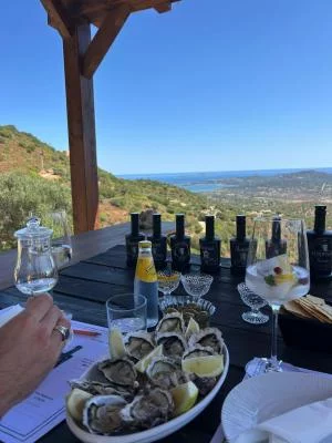 Thumbnail Degustazione di Gin con Abbinamenti Gastronomici Sardi fronte mare presso Mirto Sannai a Olbia