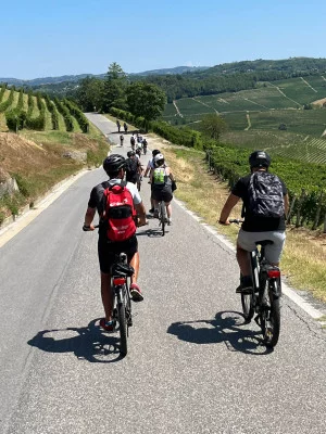 Thumbnail Tour privato in bicicletta elettrica nelle Langhe del Barbaresco con sosta per il vino