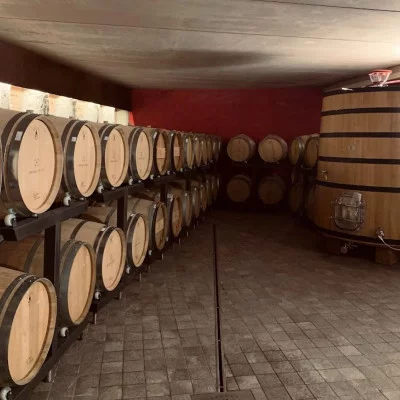 Thumbnail Visit and Wine Tasting at Piercarlo Culasso Winery