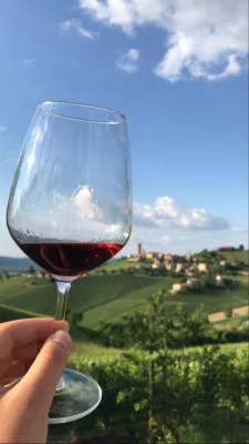 Thumbnail Visita e degustazione di vino presso la Cantina Piercarlo Culasso