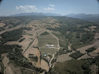 Thumbnail From Vineyard to Glass: Wine Tasting at Fonzone in Paternopoli
