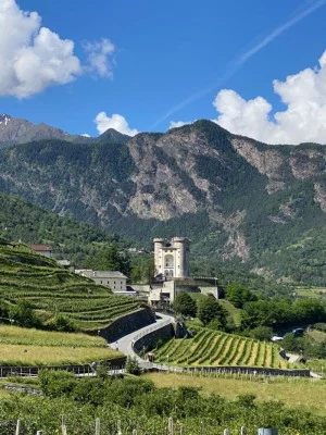 Thumbnail Sabor del Valle de Aosta: Cata de vinos en la Cave des Onze Communes