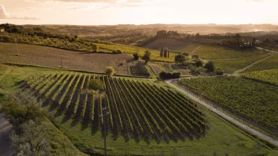 Thumbnail Excursión privada y cata de vino Chianti ecológico con almuerzo toscano en San Michele a Torri