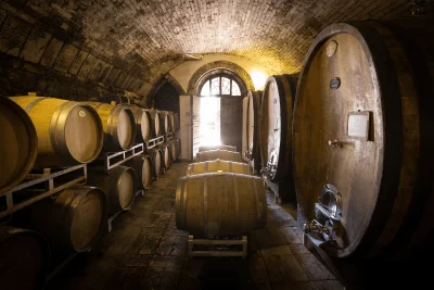 Thumbnail Bio Chianti Wein Private Tour & Verkostung mit toskanischem Mittagessen in San Michele a Torri
