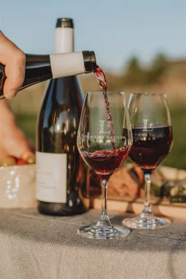 Thumbnail Wine Tasting and Vineyard Visit at Domaine Lacour in Saint-Sernin-du-Plain