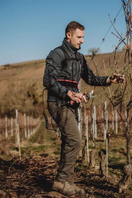 Thumbnail Wine Tasting and Vineyard Visit at Domaine Lacour in Saint-Sernin-du-Plain
