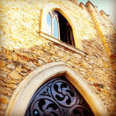 Thumbnail “Castel Cerino” Wine Tasting Experience in Soave at Coffele Winery