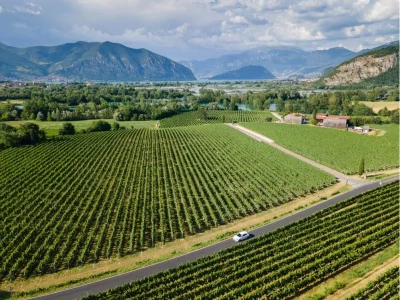Thumbnail Excursion d'une journée dans la région viticole de Franciacorta et croisière sur le lac Iseo au départ de Milan