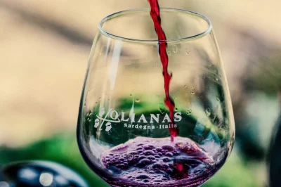 Thumbnail Dégustation de vins bio-intégrés à Tenuta Olianas en Sardaigne