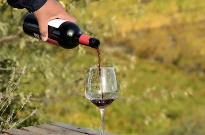 Thumbnail Verkostung von Biointegral-Weinen auf der Tenuta Olianas in Sardinien