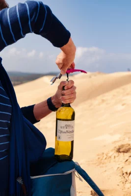 Thumbnail Arcachon Bay Full-Day Trip from Bordeaux: Oysters, Wine & Dune du Pilat Adventure
