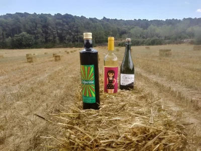 Thumbnail Tour dei vigneti e brunch al Celler Pedrola - La Cistella de l'Ebre