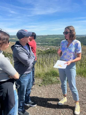Thumbnail Halbtägige private Weintour durch das nördliche Rhônetal ab Lyon