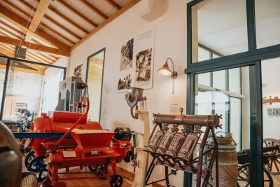 Thumbnail Wine Museum – A Journey Through Seiterre’s History