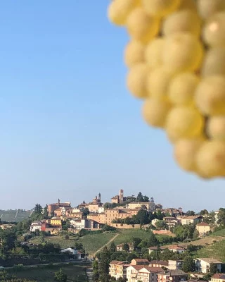 Thumbnail sektprobe "Fiumi di Bollicine" in Neive
