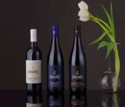 Thumbnail Degustazione di vini e tour delle ville romane in Valpolicella presso l'Azienda Agricola Massaro