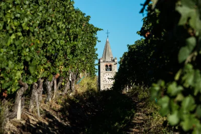 Thumbnail Dégustation de vin classique à la cave Ottin Vini