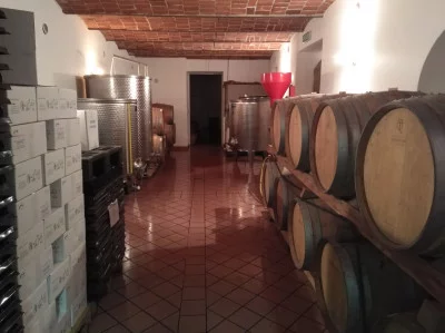 Thumbnail Vineyard Walk, Merenda Sinoira & Happy Wines at Adriano Grasso Winery beetween Langhe and Monferrato