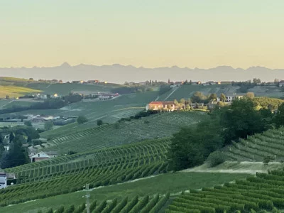 Thumbnail Adriano Grasso Winery - Vins rares et accords : Découvrir l'inattendu à Calosso