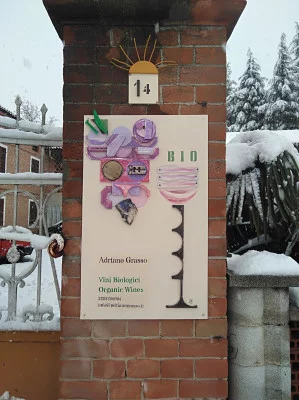 Thumbnail Cantina Adriano Grasso - Vini rari e abbinamenti: Alla scoperta dell'inaspettato a Calosso