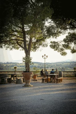 Thumbnail Discover Morisfarms: Wine Tasting with a View over the Gulf of Follonica
