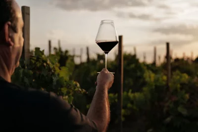 Thumbnail Donna Franca klassische Weinprobe Erfahrung