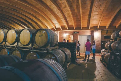 Thumbnail Private Soave Borgo & Wineries Tour from Verona with Lunch