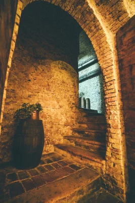 Thumbnail Tour privato del borgo di Soave e delle cantine con pranzo da Verona