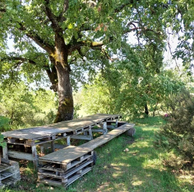 Thumbnail Degustazione naturale di vini nel vigneto - Sotto la quercia di Tunia