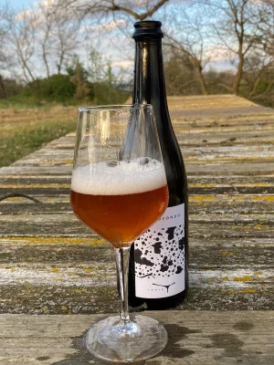 Thumbnail Natural Wine Tasting in the Vineyard – Under the Oak Tree at Tunia