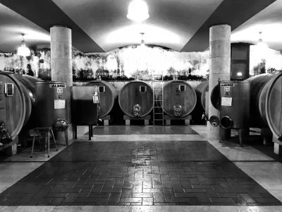Thumbnail Cata de vinos guiada con productos locales en Vini Clementi, en Valpolicella Classica