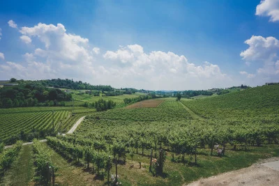 Thumbnail Tour Privado del Vino de las Colinas del Prosecco desde Venecia con Almuerzo Ligero