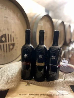 Thumbnail Voyage autour du vin : De la barrique à la bouteille chez Conti di San Bonifacio