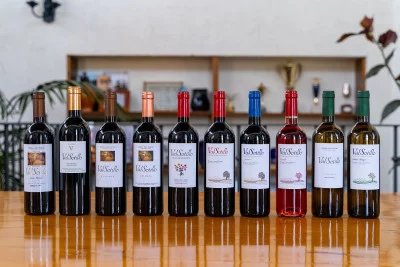 Thumbnail Bodegas Ismael Arroyo-ValSotillo: Visita a una bodega subterránea del siglo XVI en la Ribera del Duero