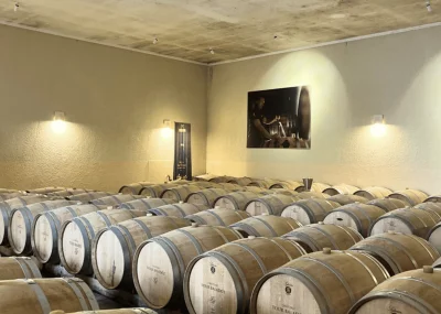 Thumbnail Tour di un giorno intero di Saint-Émilion da Bordeaux: due degustazioni di Château e scoperta del villaggio