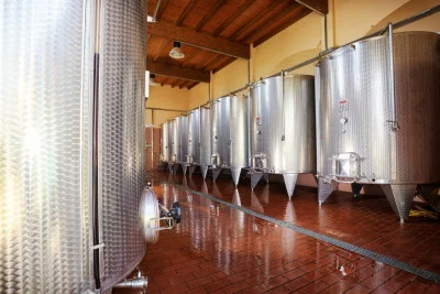Thumbnail Vigna da vivere: Wine Tasting and Vineyard Walk in Montepulciano at Pinzi Pinzuti