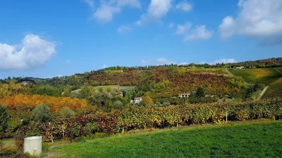 Thumbnail Visite privée des Langhe et du Barolo au départ de Turin : 2 caves et déjeuner