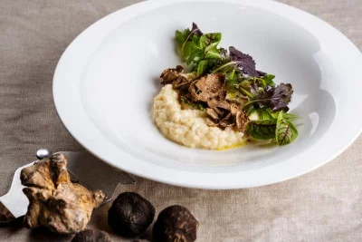 Thumbnail From Turin: Private Truffle Hunting Experience & Gourmet Lunch in the Langhe