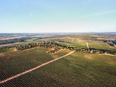 Thumbnail Tramonti nella cantina Bela a Ribera del Duero