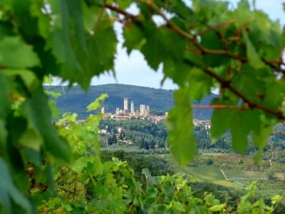 Thumbnail Weinerlebnis auf dem Weingut Campochiarenti in der Nähe von Siena