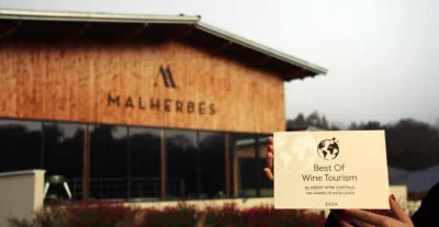 Thumbnail Barrel Cellar Discovery and Wine Tasting at Château de Malherbes