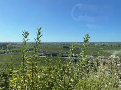 Thumbnail Excursión Privada de Medio Día a Saint-Emilion desde Burdeos