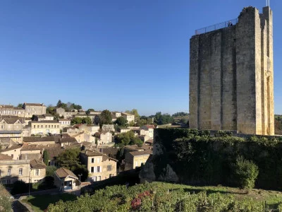 Thumbnail Excursion d'une journée dans le Médoc et Saint-Emilion depuis Bordeaux