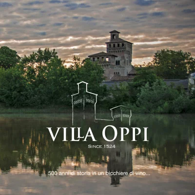 Thumbnail Wine and Food Tasting at Villa Oppi