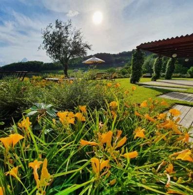 Thumbnail Valpolicella Tasting & Winery Tour at Albino Armani 1607
