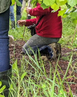 Thumbnail Monforte d'Alba: Truffle Hunt and Wine Tasting in Langhe Area