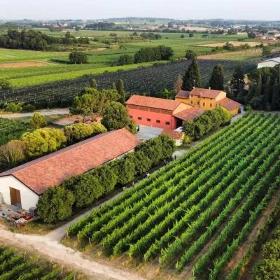 Thumbnail Dégustation verticale de Garganega et accords mets-vins locaux à Corte Quaiara, près du lac de Garde