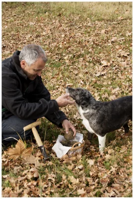 Thumbnail Discover the world of truffles at Domaine Piallat